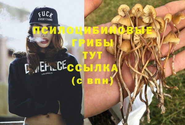 прущие крисы Алексин